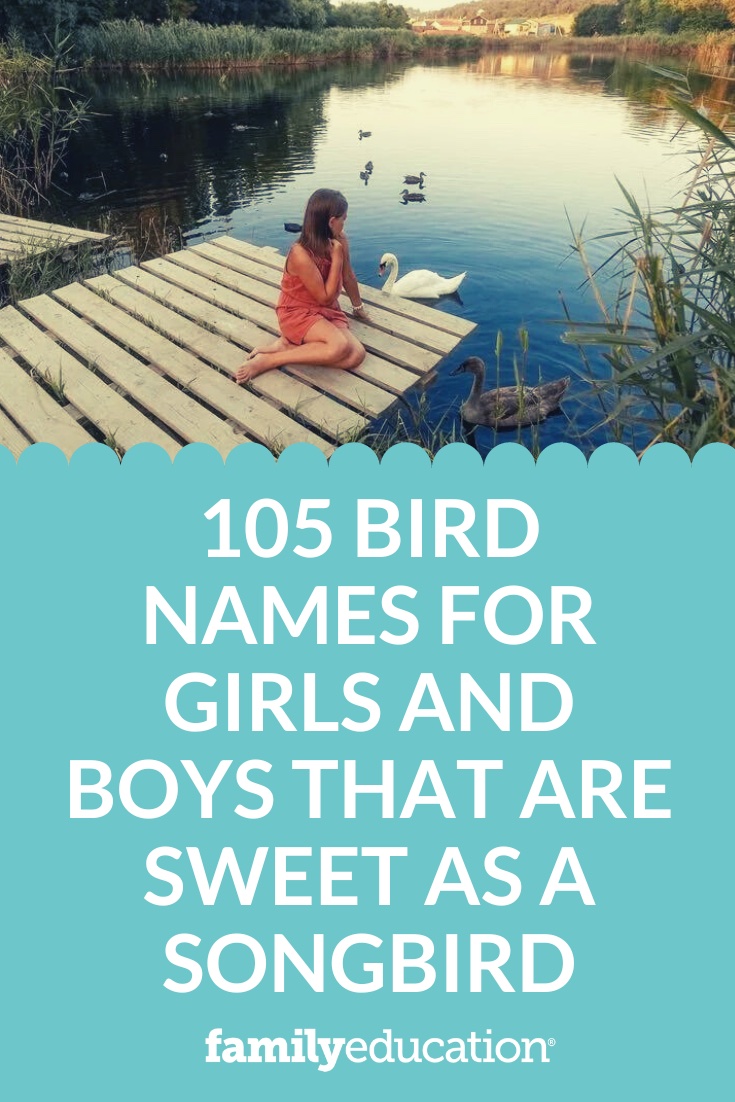 105-bird-names-for-girls-and-boys-that-are-sweet-as-a-songbird